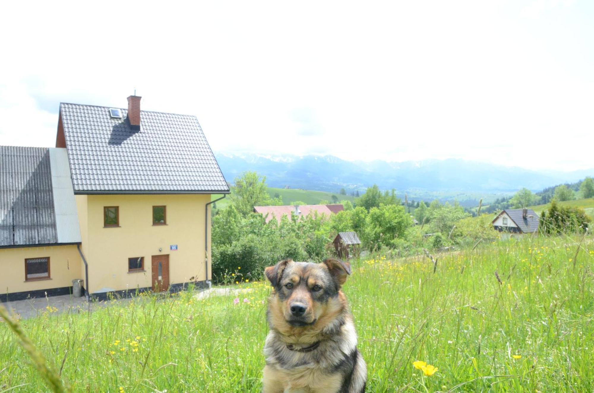 Wynajem Pokoi Zofia Gal Gliczarow Gorny Otel Dış mekan fotoğraf